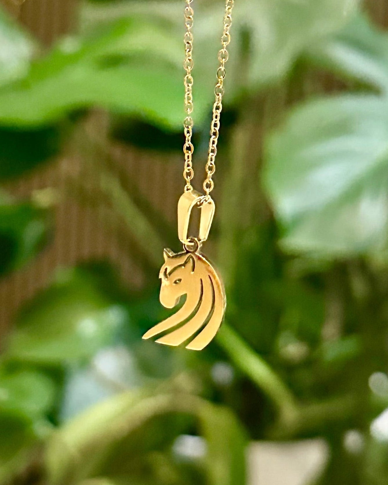 Hálsmen & eyrnalokkar sett Eyja Equestrian