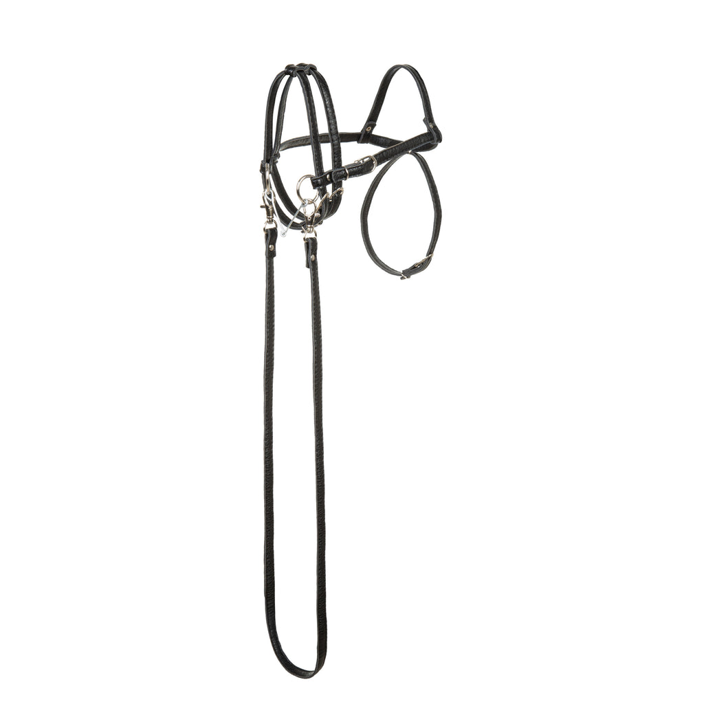 Múll & taumur fyrir Hobby Hesta úr PVC leðri - svart