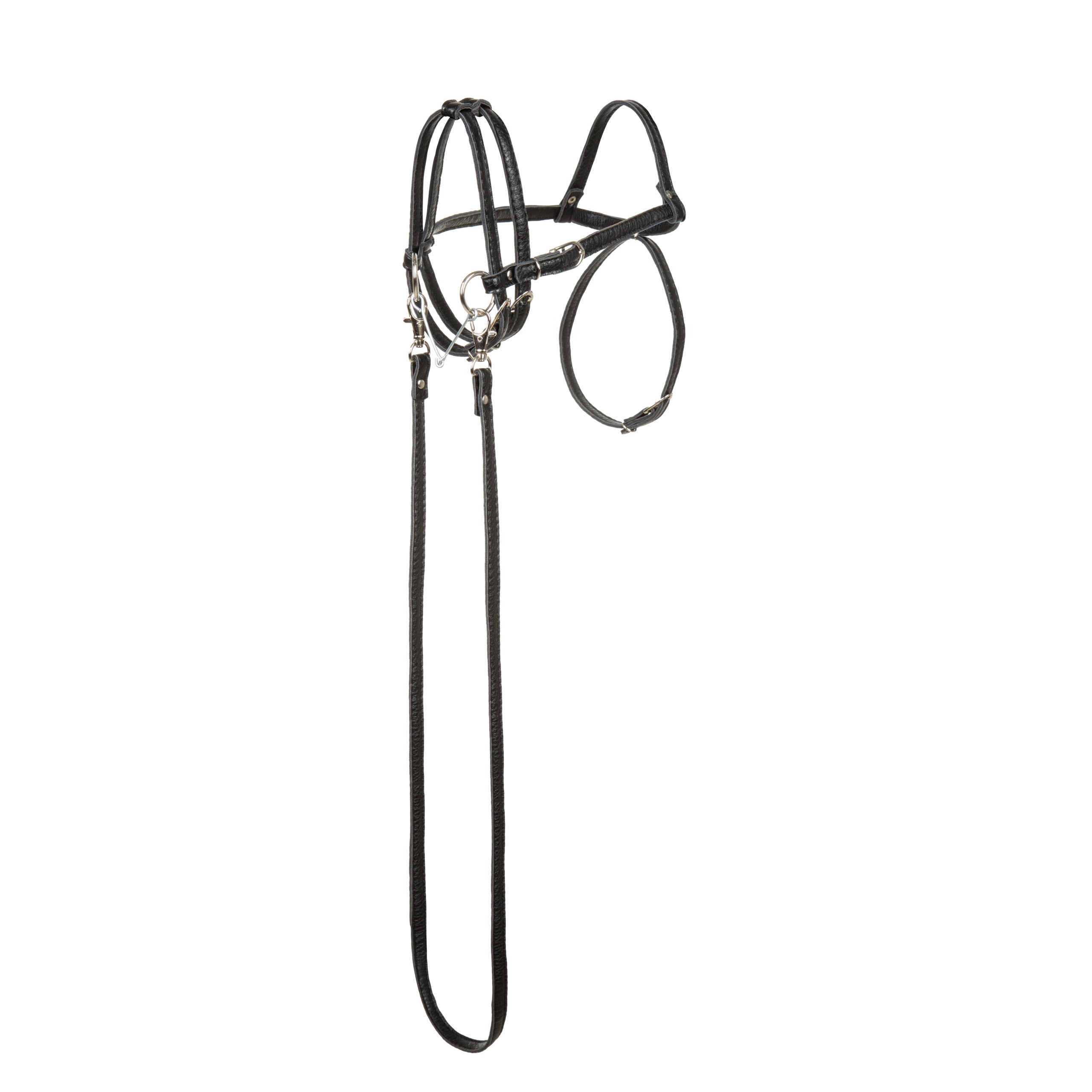 Múll & taumur fyrir Hobby Hesta úr PVC leðri - svart